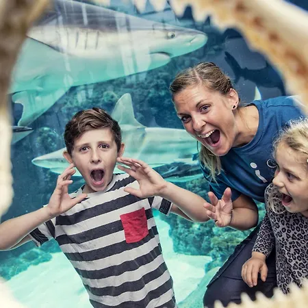 8 Bedroom Beautiful In Casa vacanze Grenå